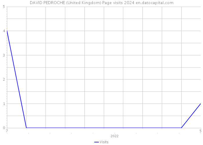 DAVID PEDROCHE (United Kingdom) Page visits 2024 