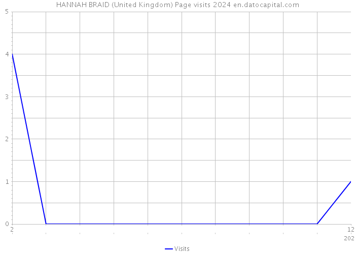HANNAH BRAID (United Kingdom) Page visits 2024 