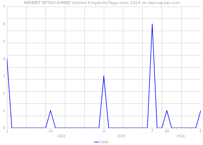 MEHMET ERTAN AHMED (United Kingdom) Page visits 2024 