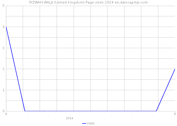 RIZWAN WALJI (United Kingdom) Page visits 2024 