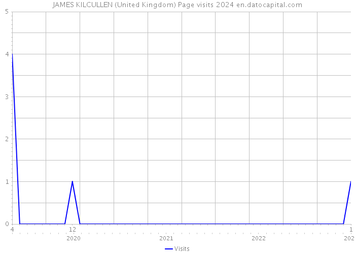 JAMES KILCULLEN (United Kingdom) Page visits 2024 