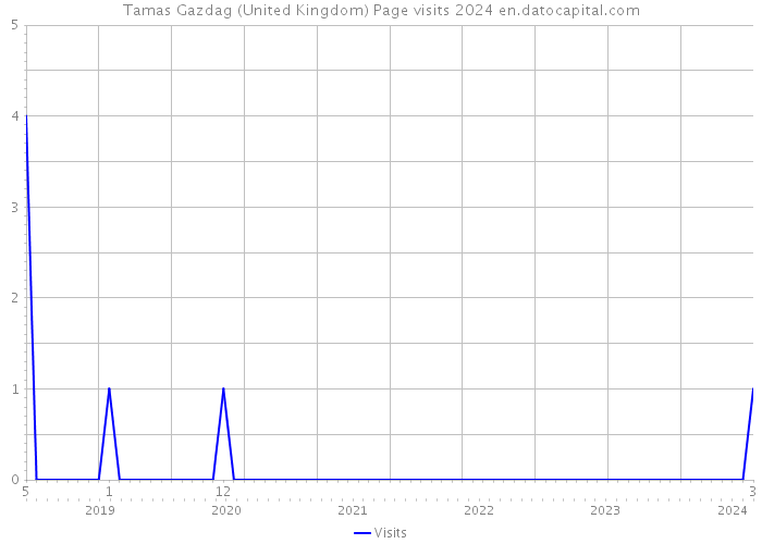 Tamas Gazdag (United Kingdom) Page visits 2024 