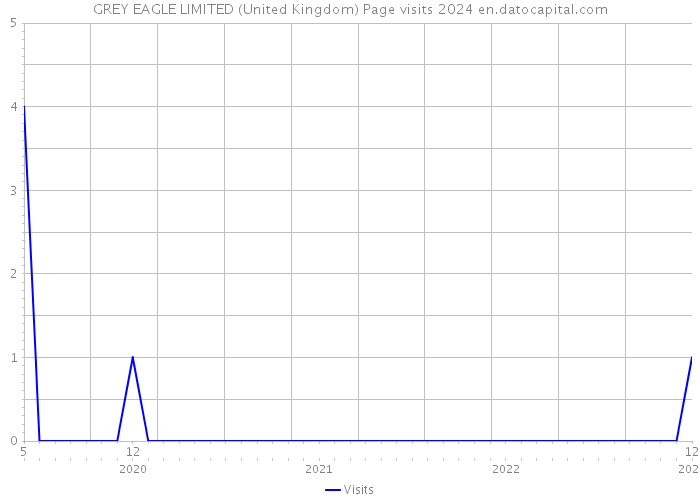 GREY EAGLE LIMITED (United Kingdom) Page visits 2024 