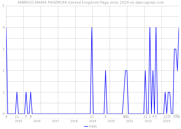 AMERIGO MARIA PANZIRONI (United Kingdom) Page visits 2024 