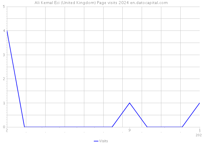 Ali Kemal Eci (United Kingdom) Page visits 2024 