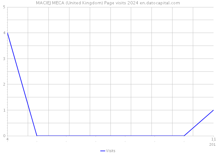 MACIEJ MECA (United Kingdom) Page visits 2024 