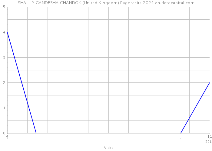SHAILLY GANDESHA CHANDOK (United Kingdom) Page visits 2024 