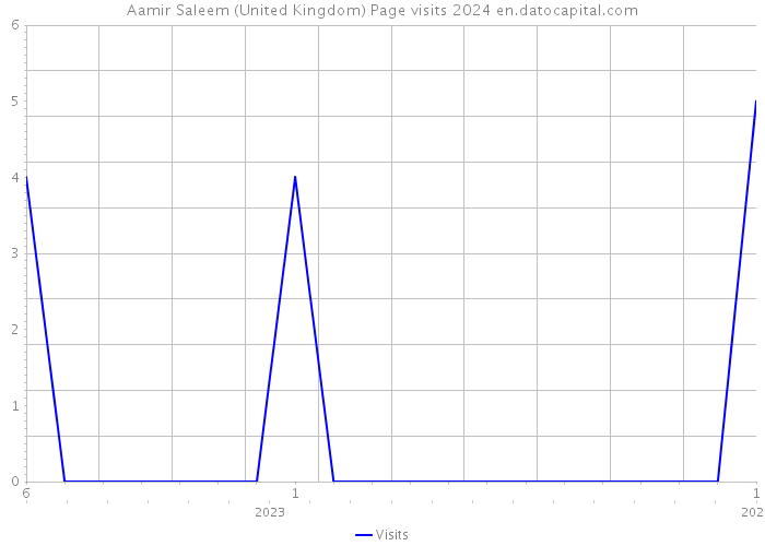 Aamir Saleem (United Kingdom) Page visits 2024 