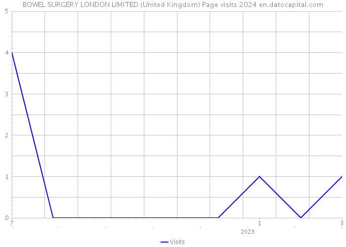 BOWEL SURGERY LONDON LIMITED (United Kingdom) Page visits 2024 