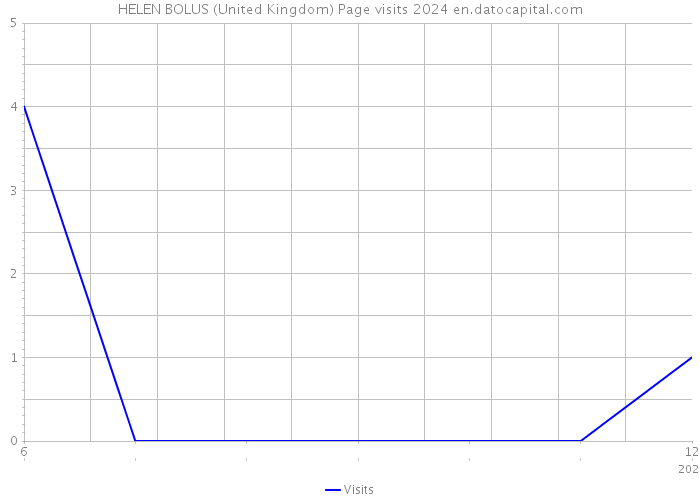 HELEN BOLUS (United Kingdom) Page visits 2024 