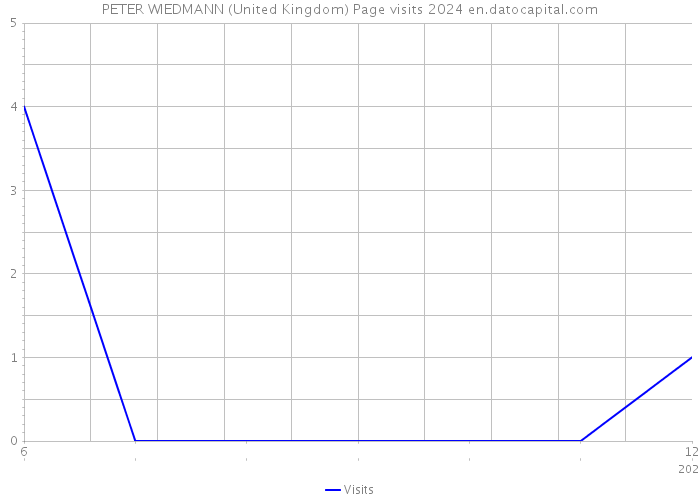 PETER WIEDMANN (United Kingdom) Page visits 2024 