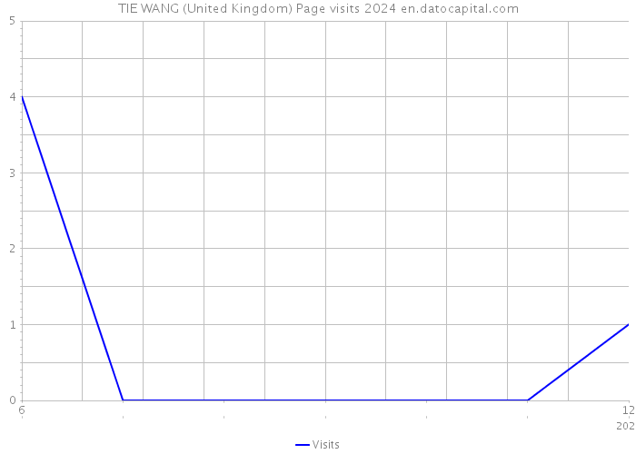 TIE WANG (United Kingdom) Page visits 2024 