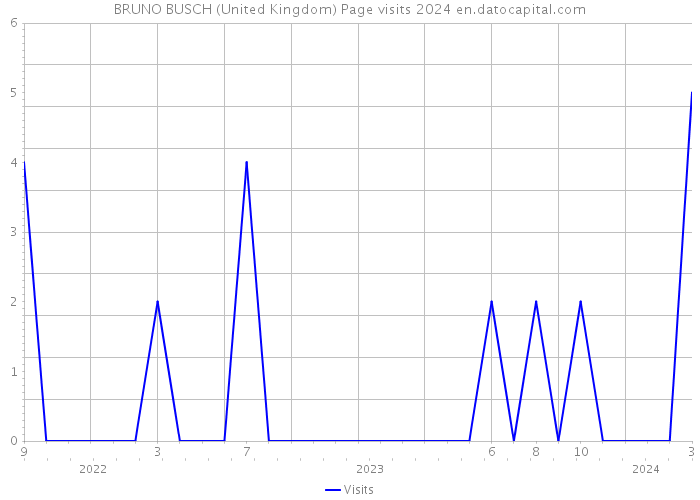 BRUNO BUSCH (United Kingdom) Page visits 2024 