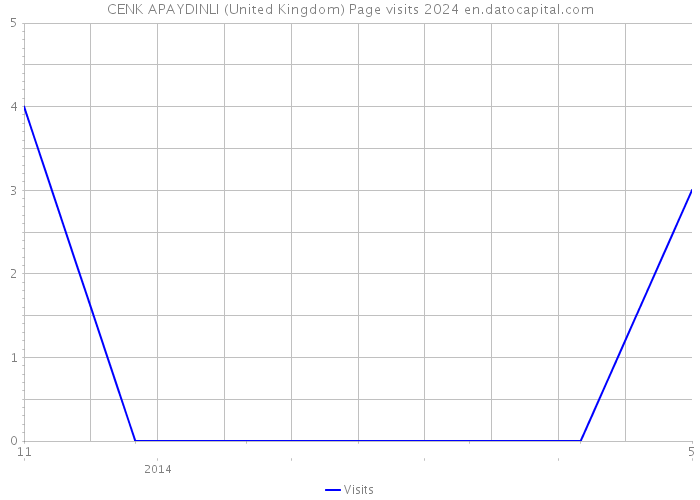 CENK APAYDINLI (United Kingdom) Page visits 2024 