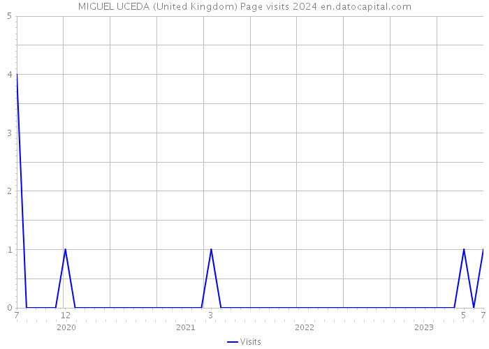 MIGUEL UCEDA (United Kingdom) Page visits 2024 