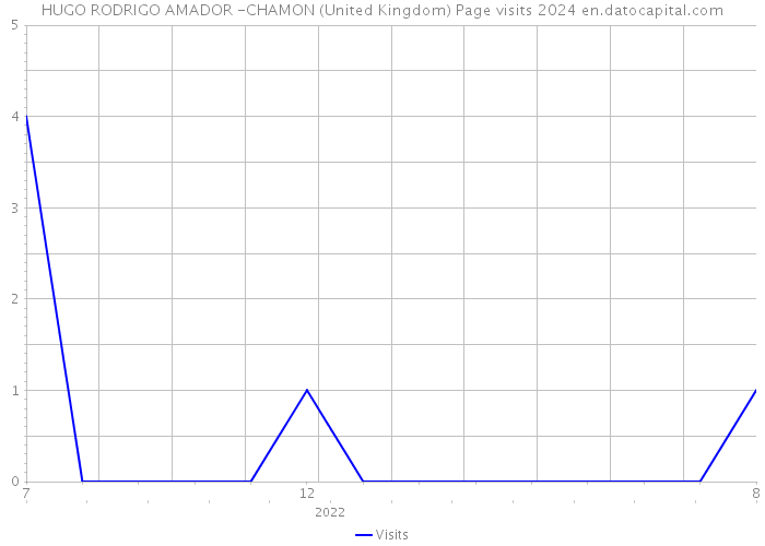 HUGO RODRIGO AMADOR -CHAMON (United Kingdom) Page visits 2024 