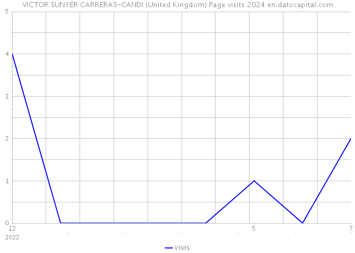 VICTOR SUNYER CARRERAS-CANDI (United Kingdom) Page visits 2024 
