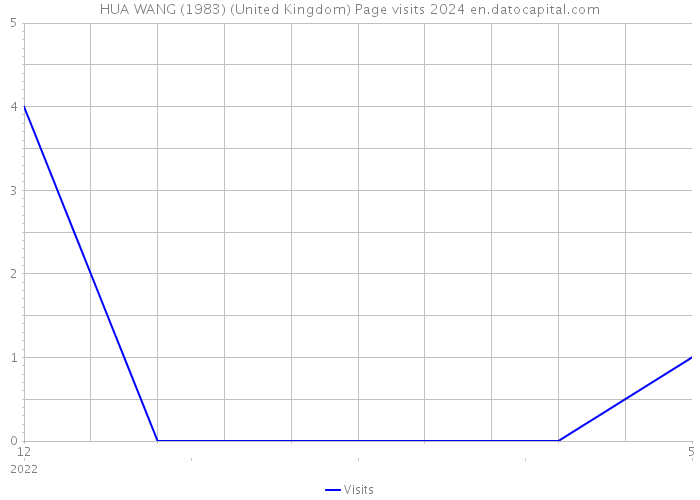 HUA WANG (1983) (United Kingdom) Page visits 2024 