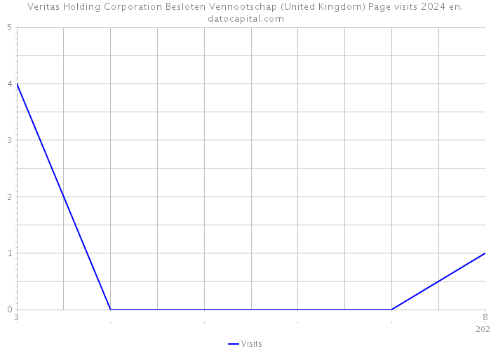 Veritas Holding Corporation Besloten Vennootschap (United Kingdom) Page visits 2024 
