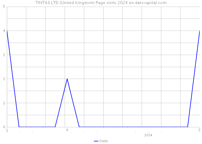 TINTAS LTD (United Kingdom) Page visits 2024 