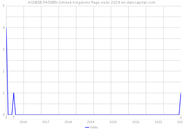 AGNESE PASSERI (United Kingdom) Page visits 2024 