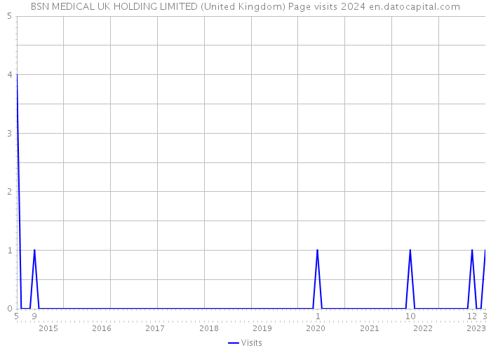 BSN MEDICAL UK HOLDING LIMITED (United Kingdom) Page visits 2024 