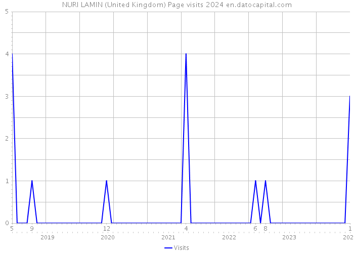 NURI LAMIN (United Kingdom) Page visits 2024 
