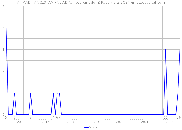 AHMAD TANGESTANI-NEJAD (United Kingdom) Page visits 2024 