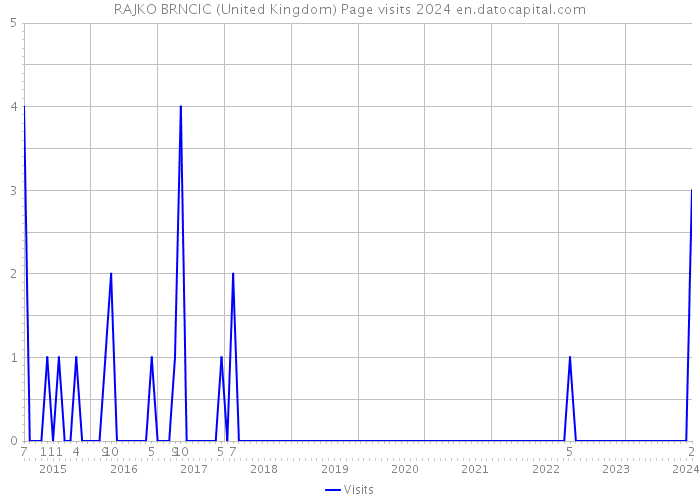 RAJKO BRNCIC (United Kingdom) Page visits 2024 