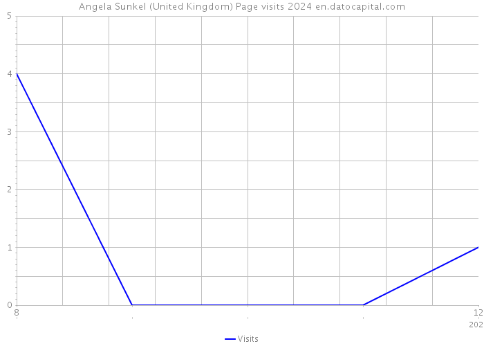 Angela Sunkel (United Kingdom) Page visits 2024 