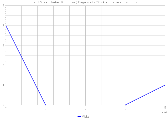Erald Miza (United Kingdom) Page visits 2024 
