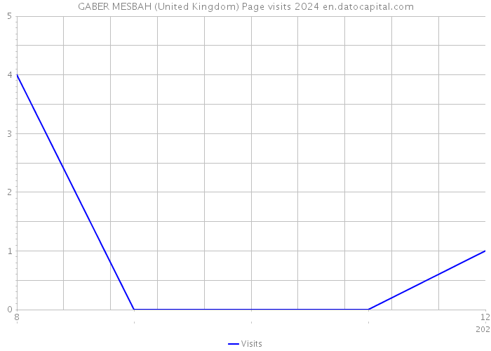 GABER MESBAH (United Kingdom) Page visits 2024 
