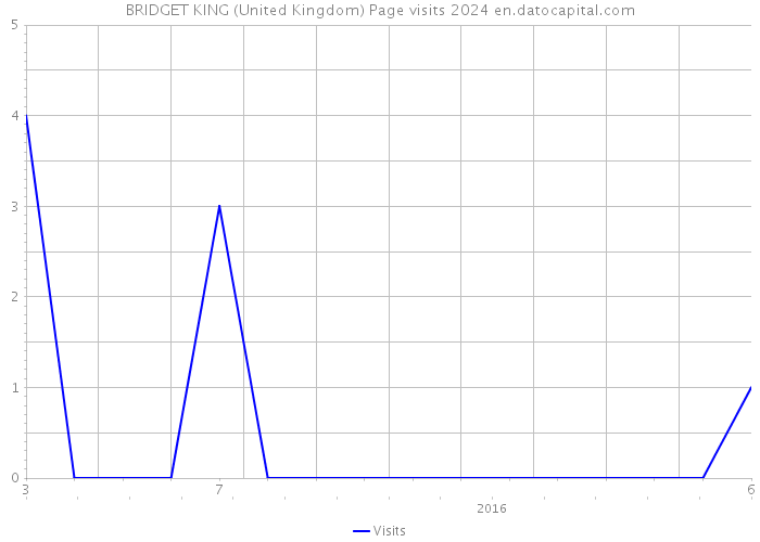 BRIDGET KING (United Kingdom) Page visits 2024 