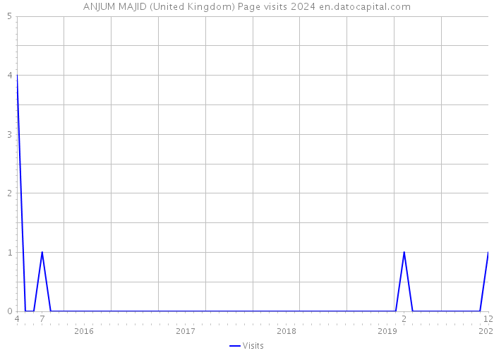 ANJUM MAJID (United Kingdom) Page visits 2024 