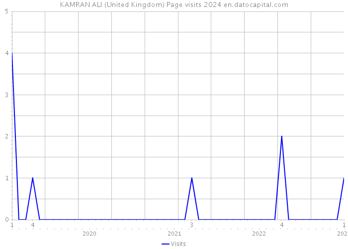 KAMRAN ALI (United Kingdom) Page visits 2024 