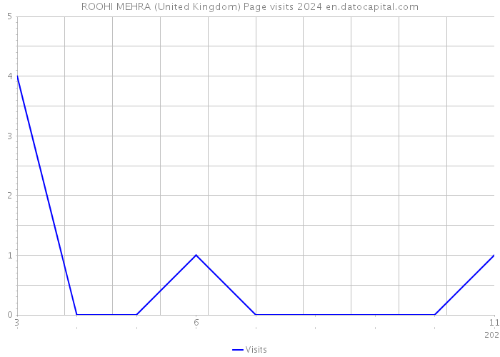 ROOHI MEHRA (United Kingdom) Page visits 2024 