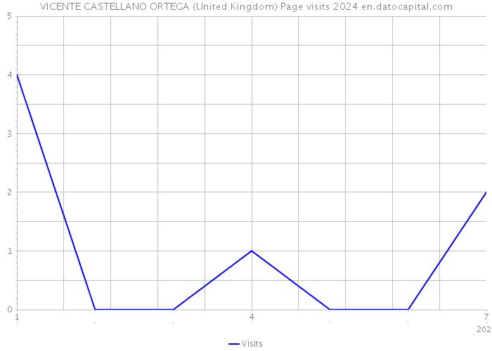 VICENTE CASTELLANO ORTEGA (United Kingdom) Page visits 2024 
