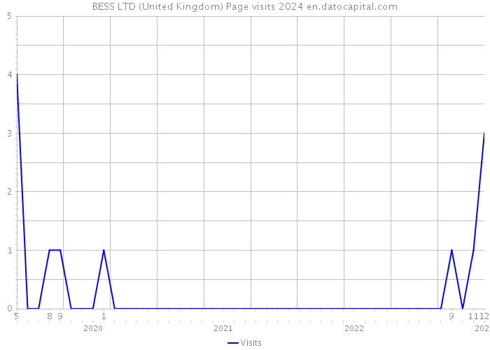 BESS LTD (United Kingdom) Page visits 2024 