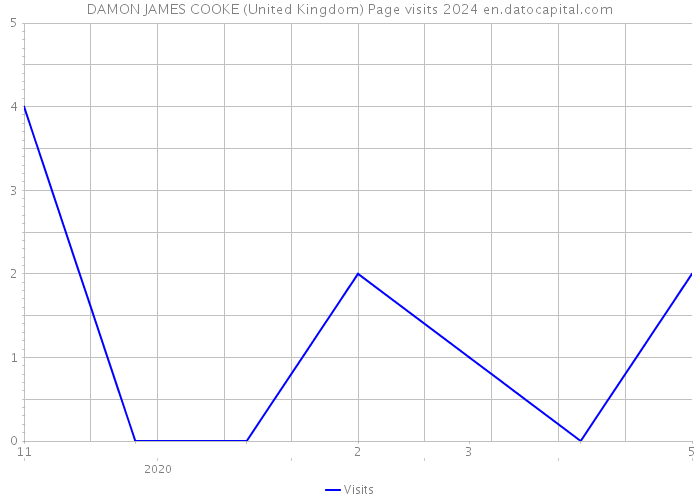 DAMON JAMES COOKE (United Kingdom) Page visits 2024 