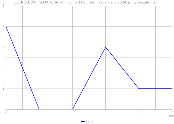 EBUNOLUWA TSEMAYE SALAMI (United Kingdom) Page visits 2024 