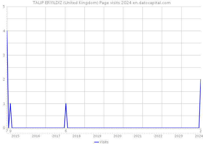 TALIP ERYILDIZ (United Kingdom) Page visits 2024 