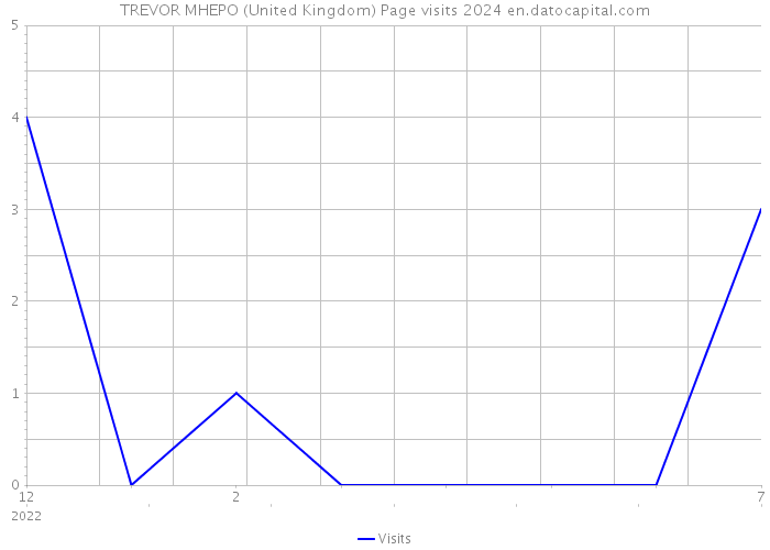 TREVOR MHEPO (United Kingdom) Page visits 2024 