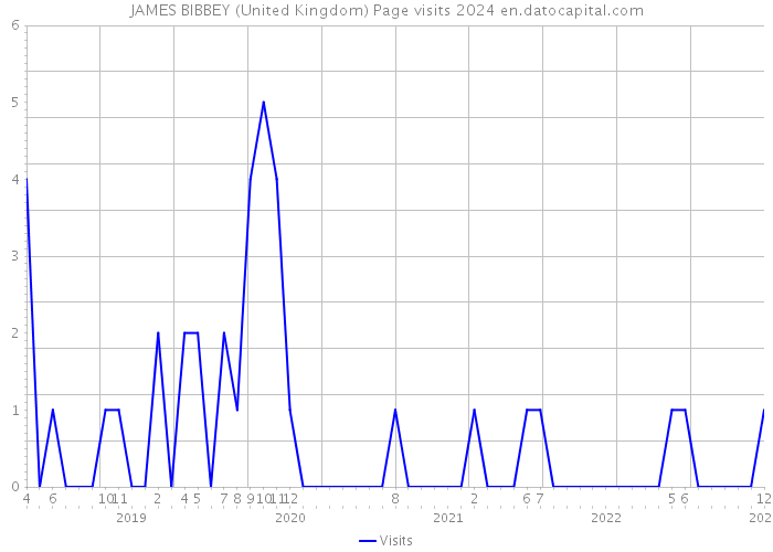 JAMES BIBBEY (United Kingdom) Page visits 2024 