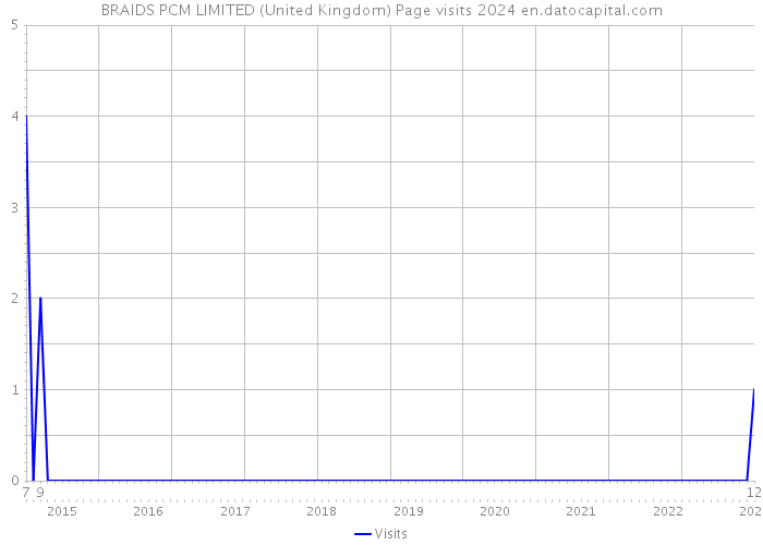 BRAIDS PCM LIMITED (United Kingdom) Page visits 2024 