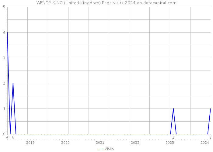 WENDY KING (United Kingdom) Page visits 2024 