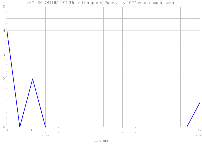 LAYL SALON LIMITED (United Kingdom) Page visits 2024 