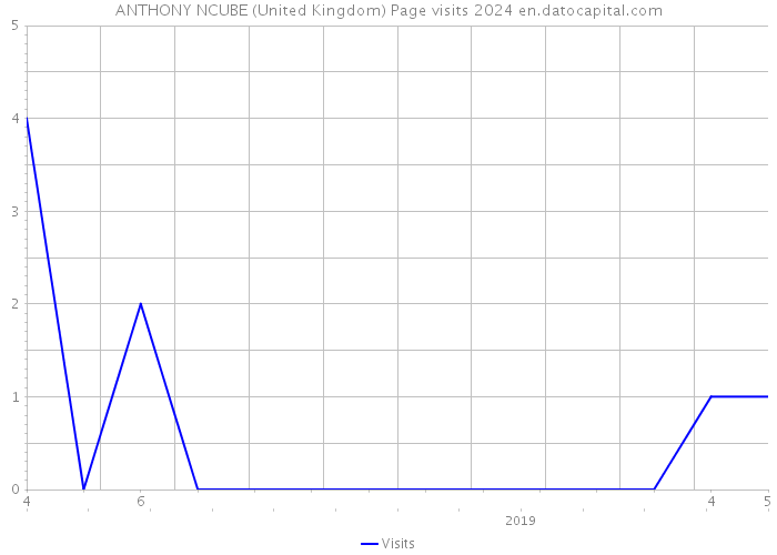 ANTHONY NCUBE (United Kingdom) Page visits 2024 