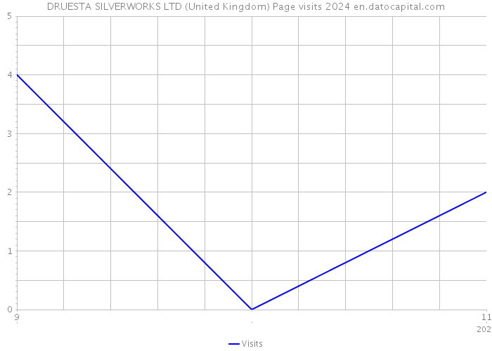 DRUESTA SILVERWORKS LTD (United Kingdom) Page visits 2024 