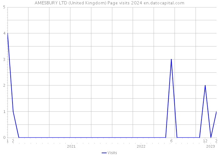AMESBURY LTD (United Kingdom) Page visits 2024 