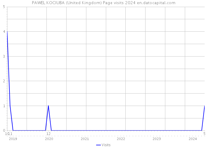 PAWEL KOCIUBA (United Kingdom) Page visits 2024 